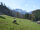 Blick zum Höllengebirge