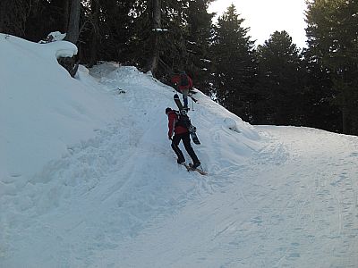 Eine letzte Forstwegquerung...