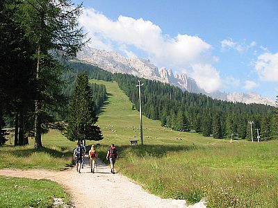 Über Almwiesen zum Latemar