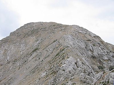 Die letzten Höhenmeter Richtung Gipfel