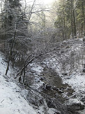 Entlang der Ebnater Achen