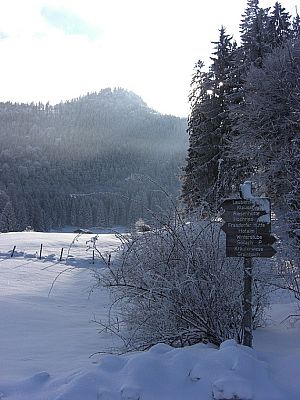 Wegweiser kurz vor der Hütte