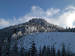 Hammerstein