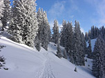 ...und der Laubensteinalm entgegen