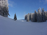 Kurz vor de Alm