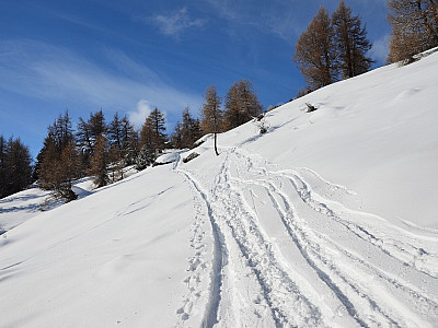 gewinnen wir auf der Spur an Höhe.