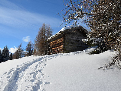Die Spur führt an einer Heuhütte vorbei