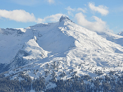 Gut 10 Kilometer entfernt: Der Wolfendorn 2774 m