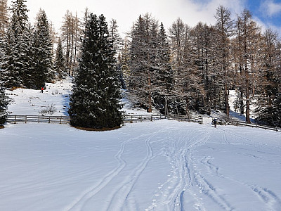 Durch ein Gatter geht es...