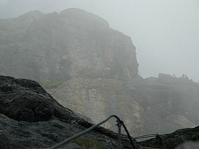 Bergkameraden im Nebel