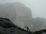 Bergkameraden im Nebel