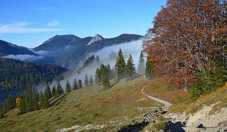 Leonhardstein (1449 m)