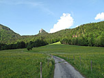 ...gemütlich über einen Forstweg bergauf