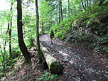 ...und folgen dem Waldweg