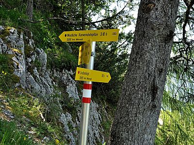 ... zweigt der Weg zum Lindenkopf nach Süden ab.