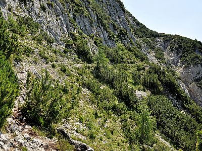 Der Weg wird wieder leichter, ...