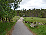 Am Spittal of Glenmuick schlagen wir den breiten Weg in südwestlicher Richtung ein...