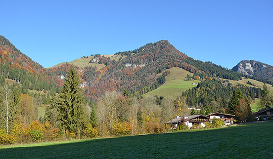 Lochner Horn