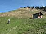 Aufwärts geht es nun über sonnenverwöhnte Almwiesen