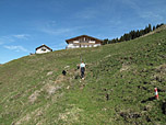 Die Obere Kohlenriedalm