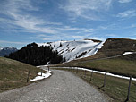 Blick zum Lochner Horn