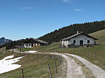 Die Lochner Alm