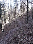 Durch den Bergwald geht es zügig hinunter