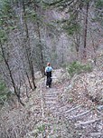 Abstieg nach Walchsee