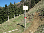 Der Weg ist nie zu verfehlen
