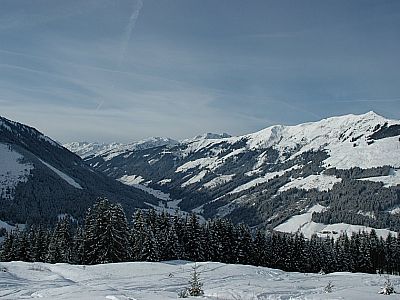 Immer wieder ein lohnender Blick in den Langen Grund