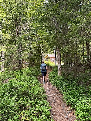 Dann treten wir aus dem Wald hinaus