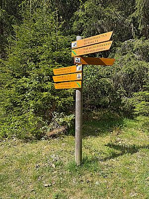 Schilderbaum am Ausgangspunkt