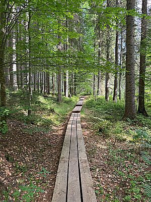 Auf den Holzplanken...
