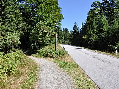 Wir verlassen nach links die Fahrstraße