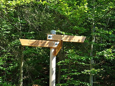 Weiter geht es zum Teufelsloch.