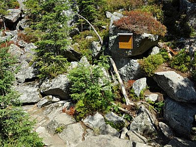 Felsblock-Meer aus Granit am Teufelsloch.