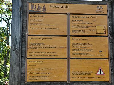 Wir statten dem Hochwaldsteig einen Besuch ab.
