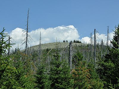 Der Weg zum Gipfel ...