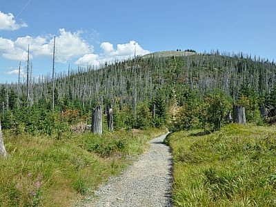 ... führt nun schnurgrade....