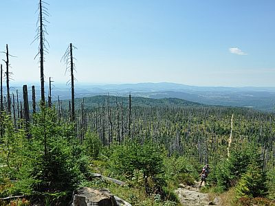 Rückblick auf den Aufstiegsweg.