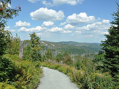 Über den Winterweg geht es wieder zu Tal.