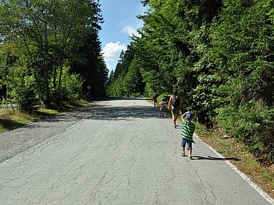 ... bis zum Parkplatz zu folgen. 