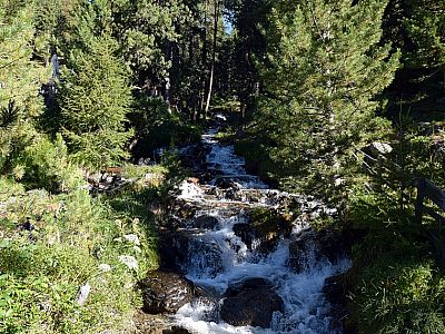 Der malerische Lyfibach plätschert neben der Hütte zu Tal
