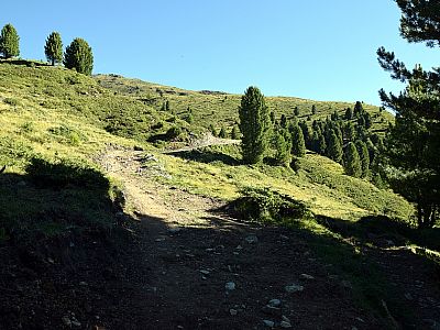 Der zunächst noch breite Weg ... 