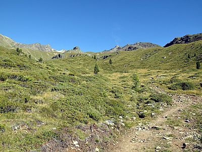 ... führt uns rasch in ein nahezu baumfreies Areal.