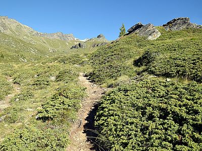 Immer höher schlängelt sich der Pfad, ...