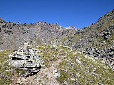 Das Gelände wird zunehmend felsiger 