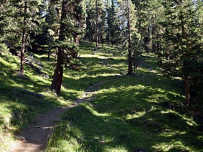 Im Halbschatten gewinnen wir schnell an Höhe