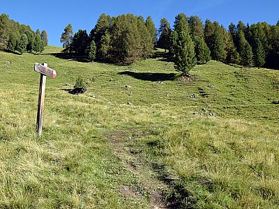 Wir folgen weiter dem Weg 10 zur Lyfialm