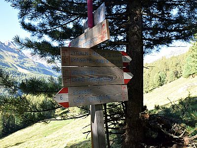 An einer Weggabelung halten wir uns links, nach Nordwesten weiter auf die Lyfialm zu